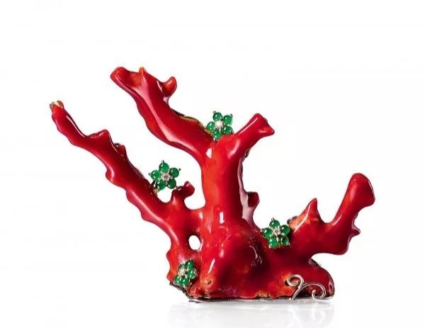 海洋的珍宝,海洋中珍贵的珊瑚