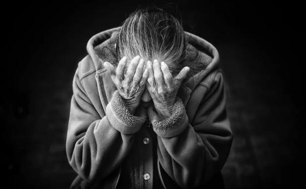 小米精品主题,小米没有高端机吗