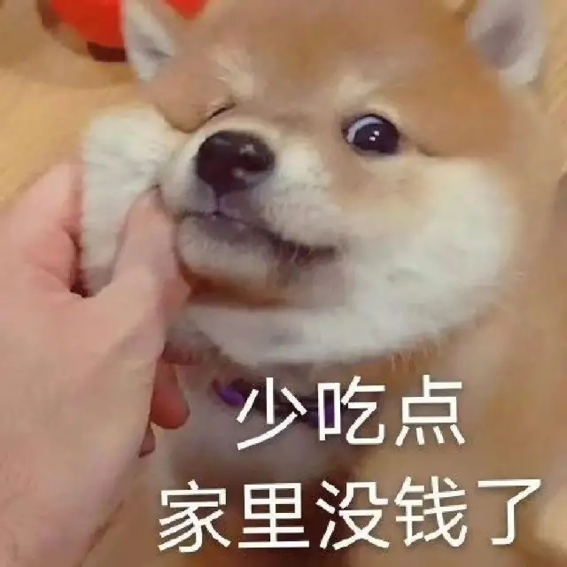 小胖汪的抠抠经｜从买买买到月消费几百块