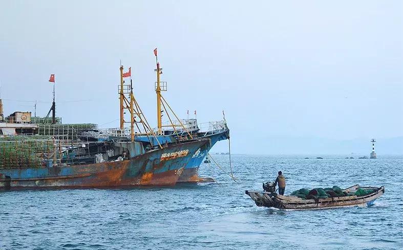 鱼丸里没鱼？虾丸里没虾？蟹丸里没蟹？