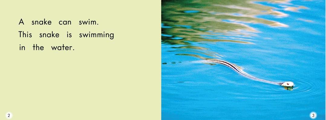 英语绘本故事小怪物,蝴蝶英语绘本阅读