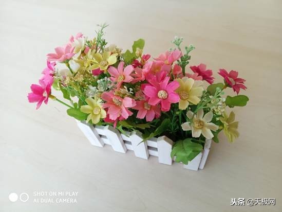 免费流量利用方法,免费流量是什么套路