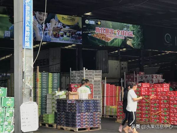 水果市场打拼的女人,卖水果的女人们