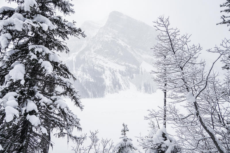 加拿大魁北克冰雪节,加拿大艾伯塔省节