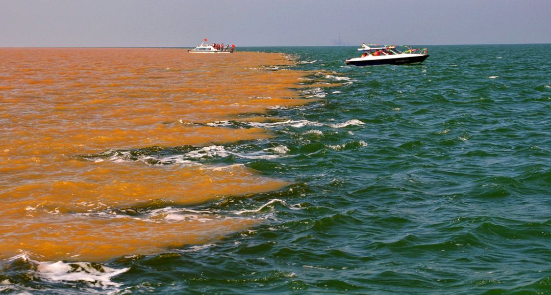 山东这两座小城，集齐了所有令人向往的美景，超级适合自驾！