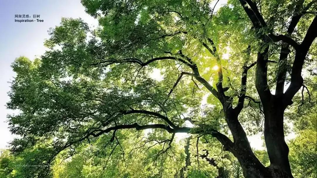 杭州第一高楼400米,杭州第一高楼发展史