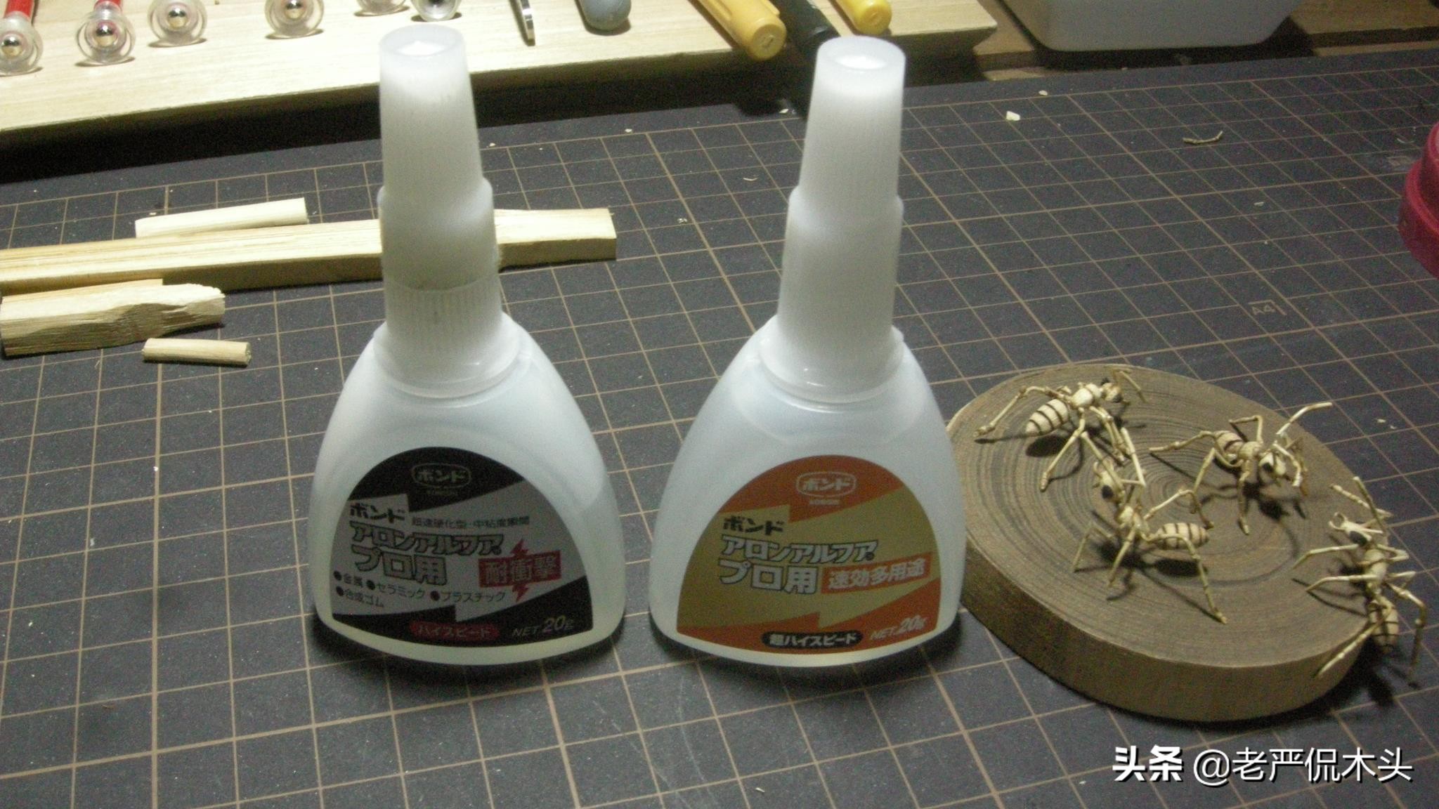 昆虫标本树脂竹节虫,昆虫标本制作竹节虫