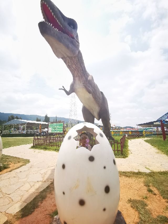 昆明自然乐乐园在哪里,昆明自然乐游乐园丛林飞跃