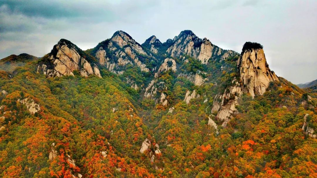 大饱眼福！数百辆重型机车即将汇集在洛阳这个地方