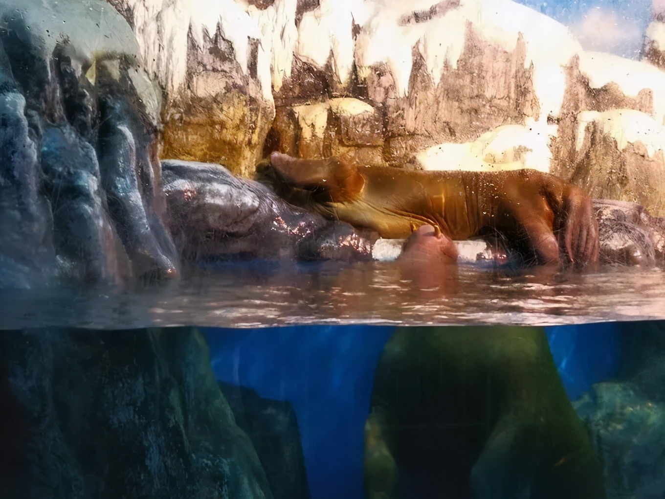 大连金石滩冬天一路美景,漫步在大连金石滩的黄金海岸