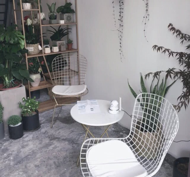 成都开一家鲜花店需要多少钱,重庆开一家花店要多少钱