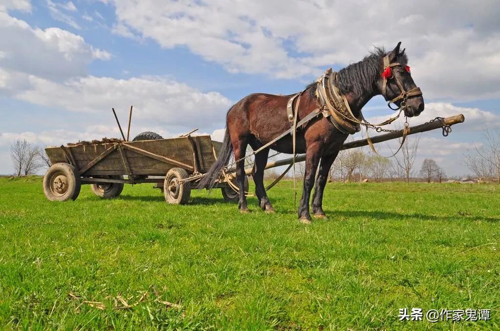 涔℃潙涔嬮┈鍥剧墖,涔℃潙瀹剁暅