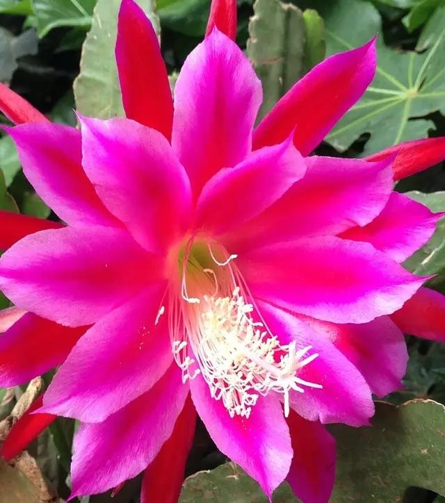 你一无所有的时候你就会东山再起,当你一无所有的时候才幡然悔悟