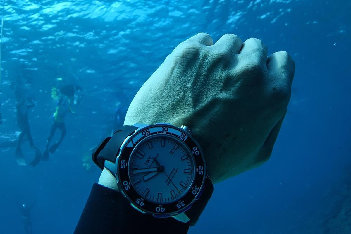真假腕表的四大鉴定方法，从此告别“表壳厂陷阱”