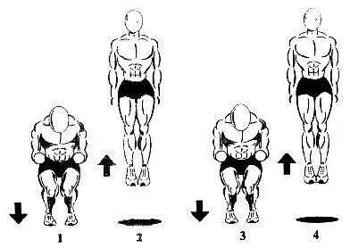 弹跳训练涉及的板块,弹跳训练计划之周一