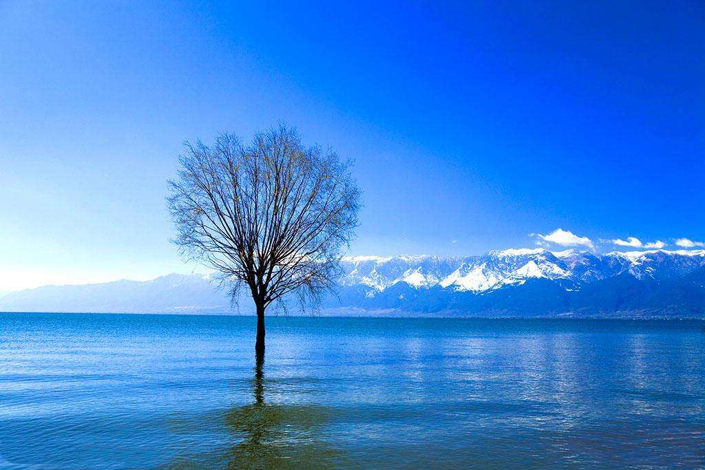 寒假预习外研版初中英语,初中英语预习方法和技巧