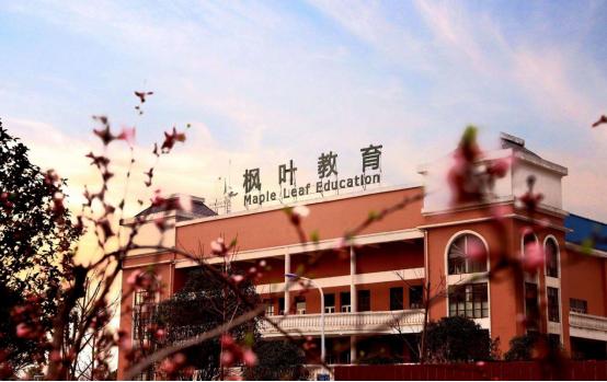 武汉最贵的私立幼儿园,武汉双语幼儿园学费