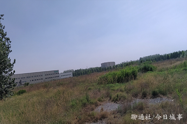 山东泉林纸业轻型纸,泉林纸业拍卖