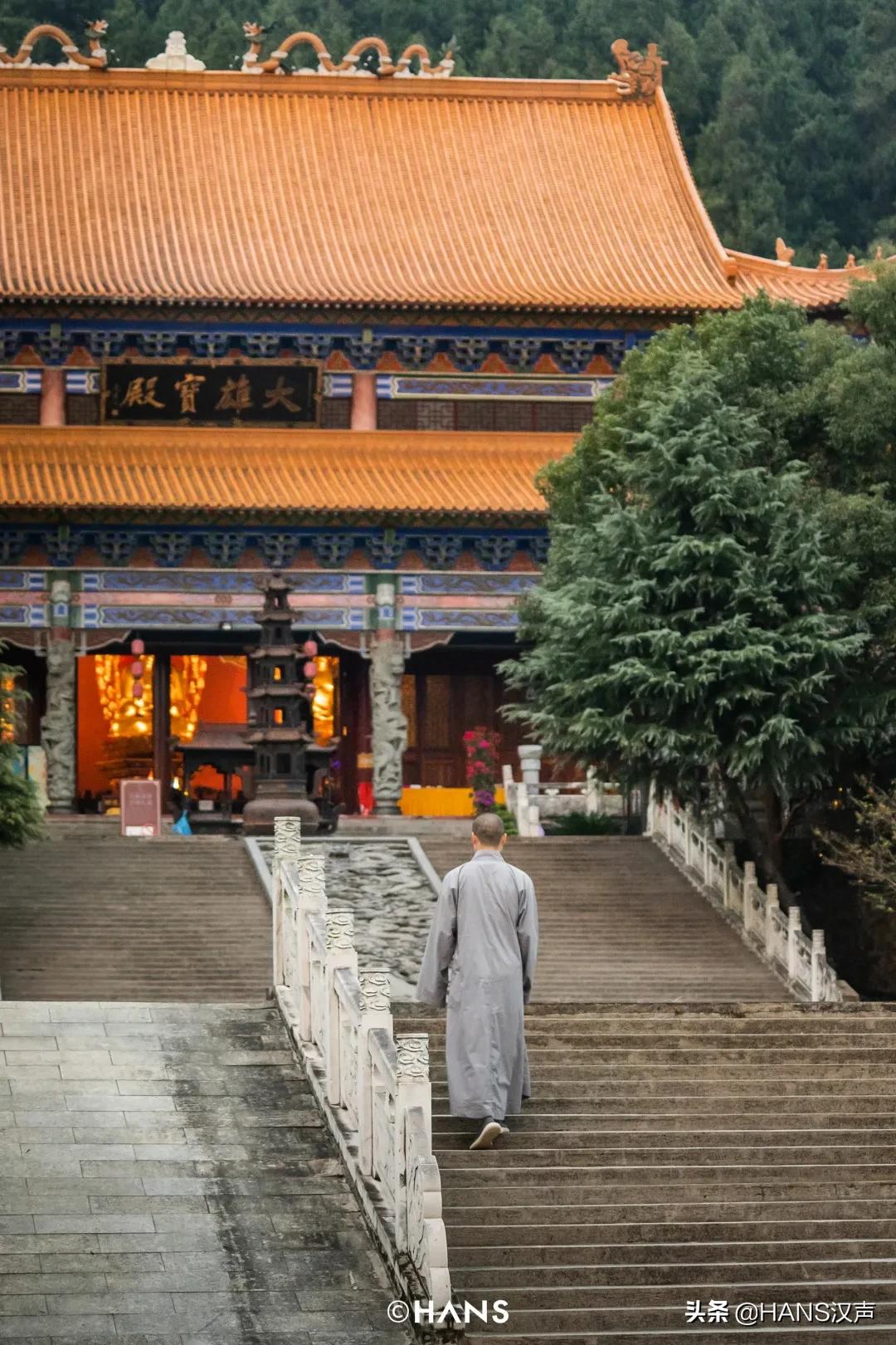 抖音网红为什么出家,灵泉寺武汉短期出家