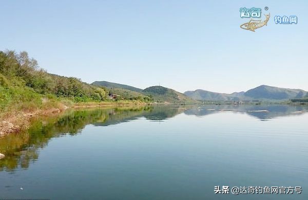 饵料老是掉钩怎么解决呢,野钓只吃饵料不咬钩是什么原因