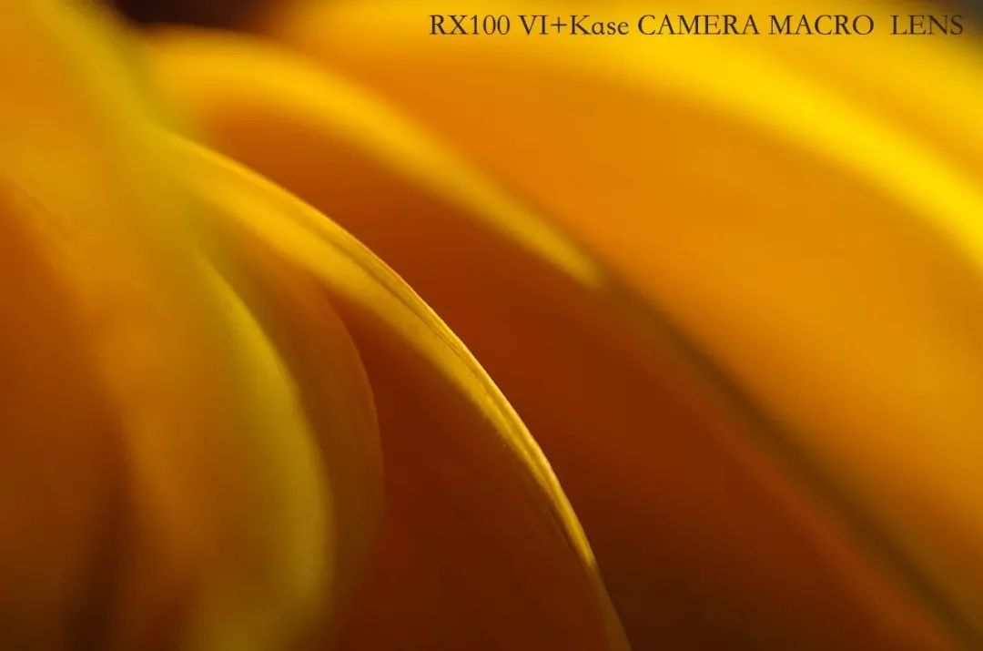 影响画面曝光的主要因素,如何通过曝光补偿控制画面亮度