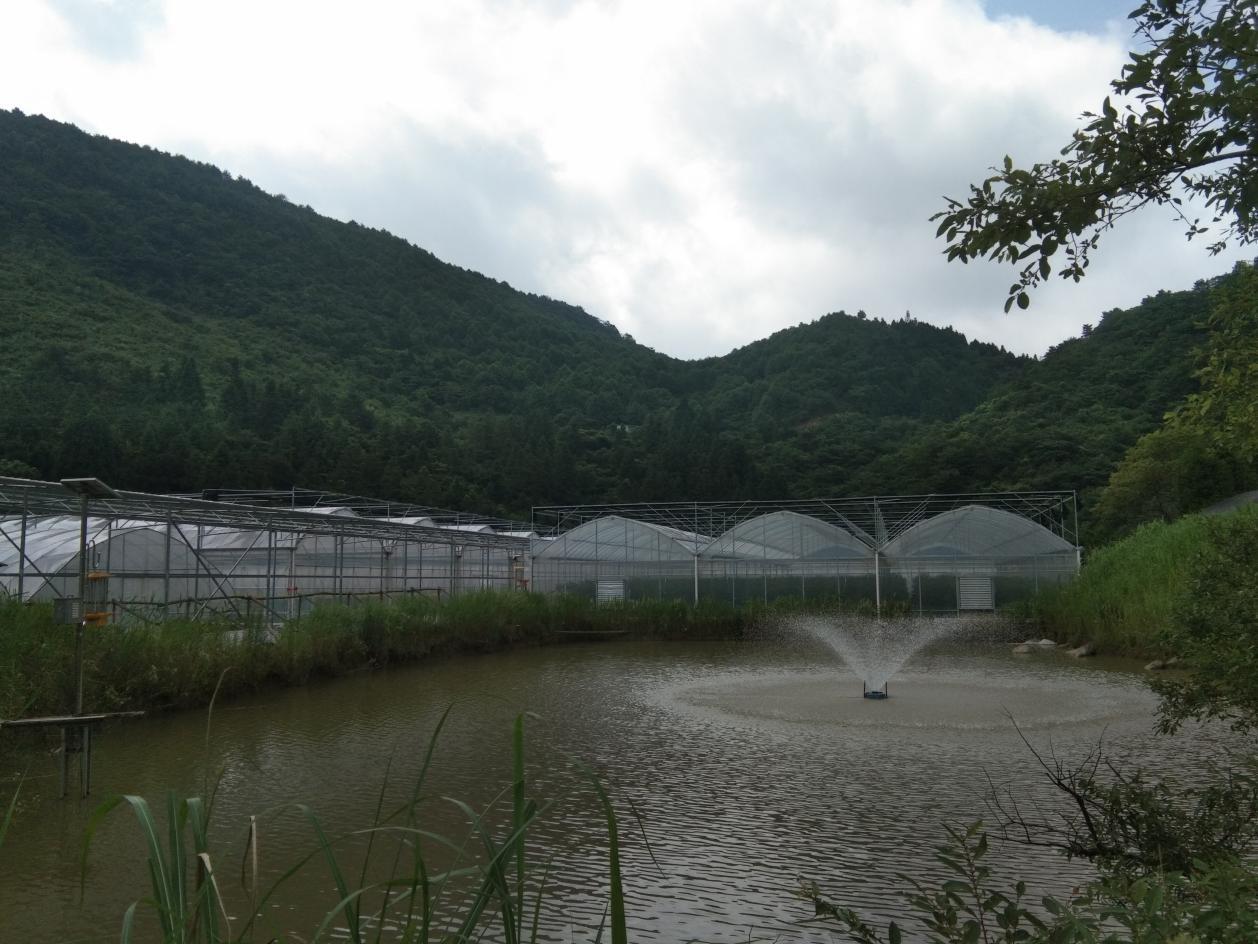 石台:民生工程谱写七井高山辣椒新篇章