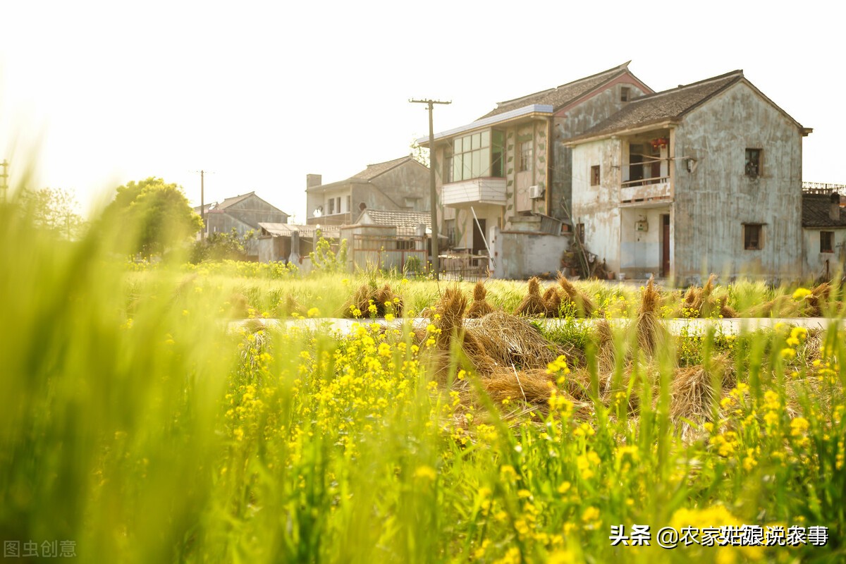 农村户口没房子住该找谁,如果一家有两个户口怎么办