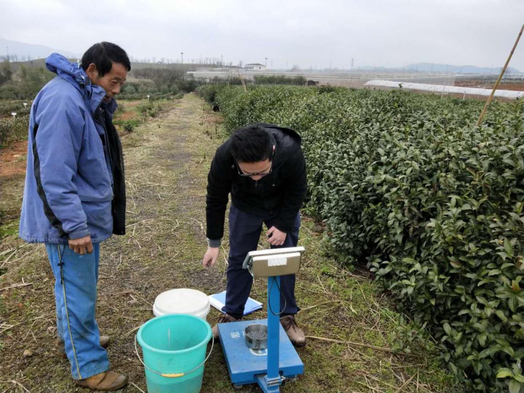 cctv村里来了个农业特派员,村里的联络员