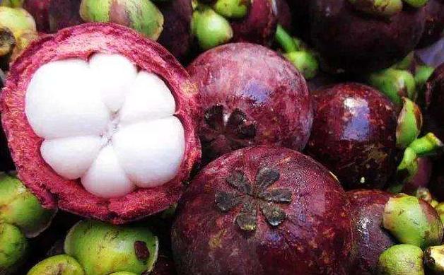 挑选山竹的小窍门简单有效,水果店不会告诉你挑山竹小窍门