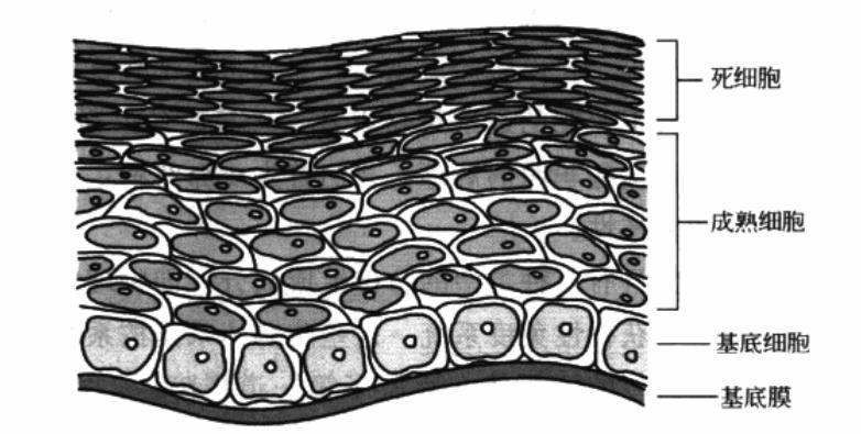 看不见的病毒,看不见的战争完整版