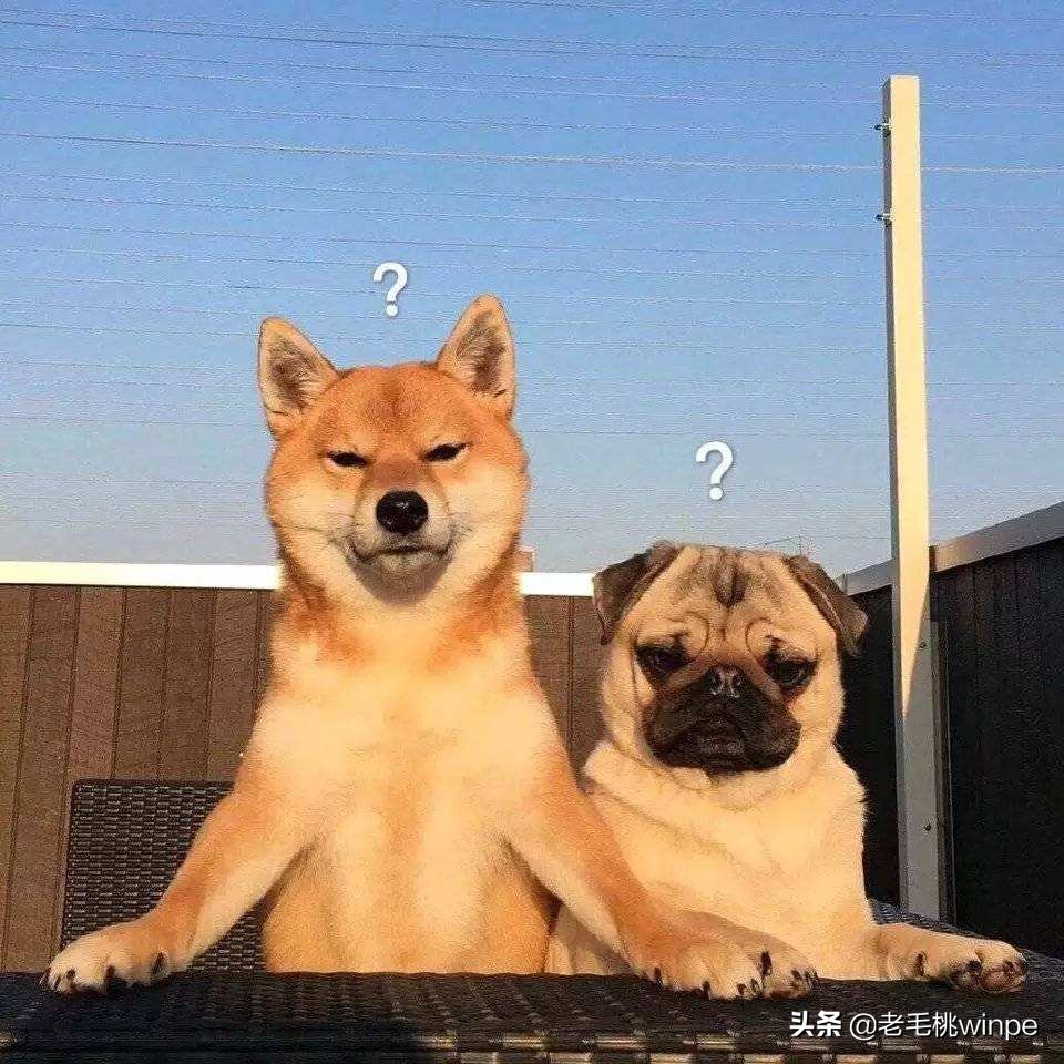 如何用原电脑整体迁移系统盘,怎么将桌面的应用转移d盘