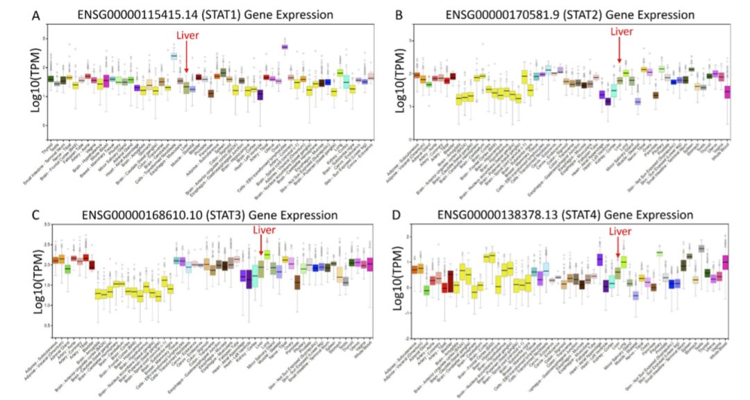 博士毕业神器3+分纯生信杂志：平均一审只要一个月，年刊量1000+