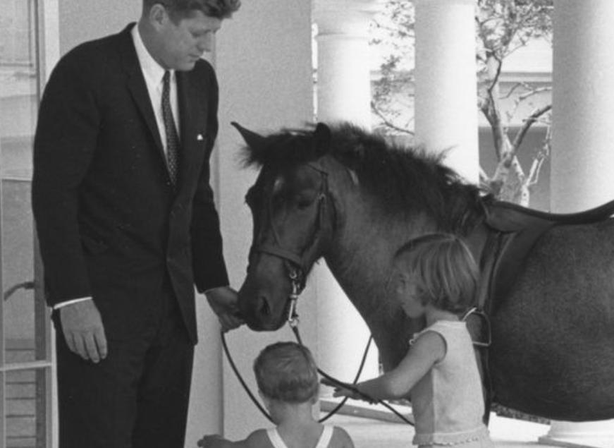 白宫动物简史：鸡、猫、狗、鸟、马、鼠、浣熊，甚至还有鬣狗