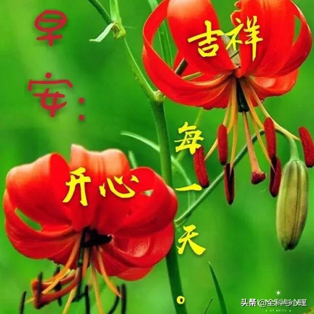 适合中老年人早上发的早上好短句,早上给情人问候早上好图片大全