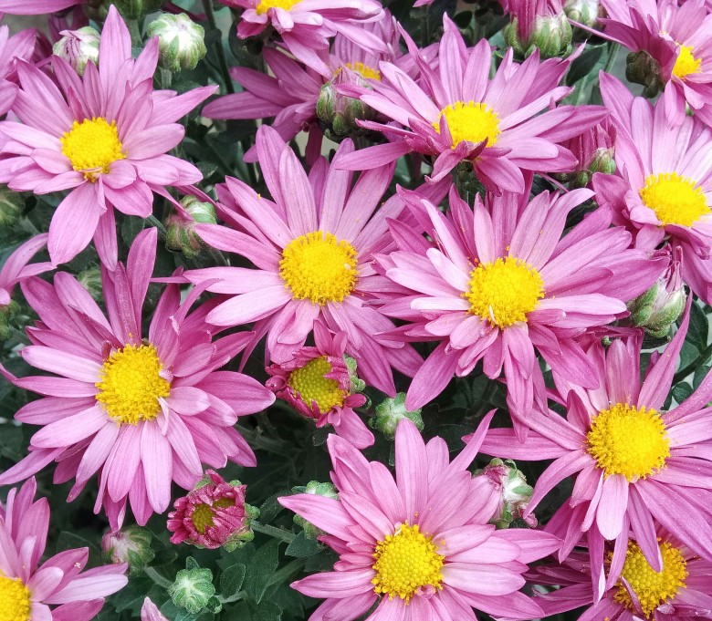 走出抑郁改变自己变得优秀,走出抑郁增强自信