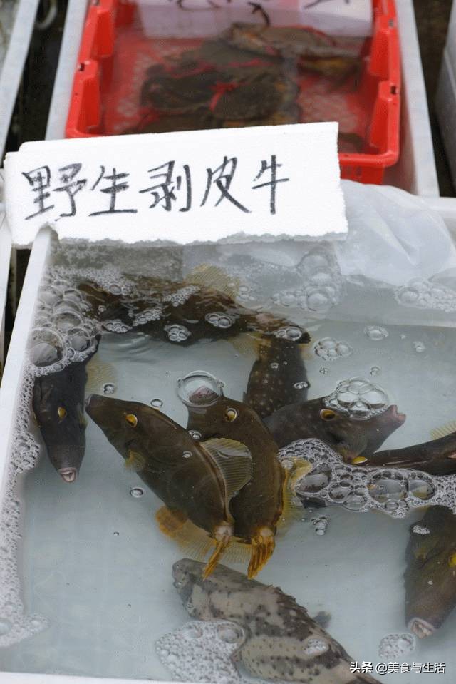 中国十大顶级大型海鲜市场在哪里,全国各大海鲜市场现状