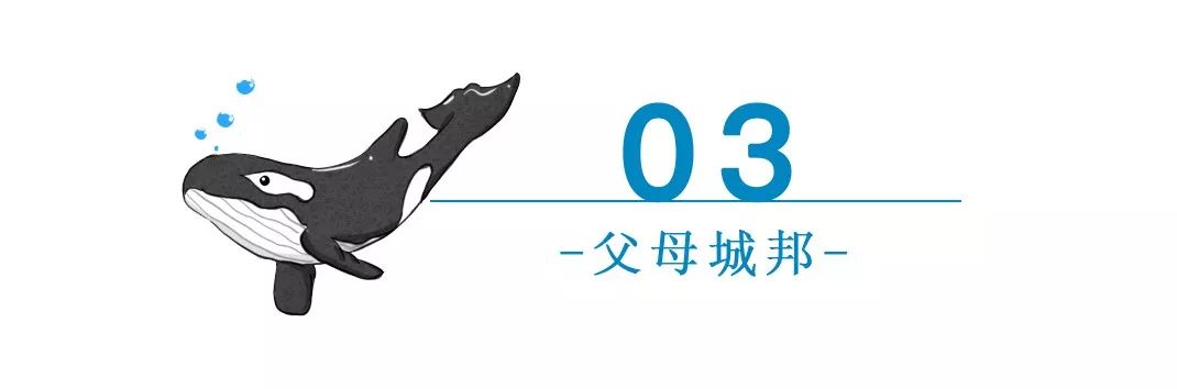 孩子沉迷网络父母怎么办,孩子沉迷网络小说怎么教育最好
