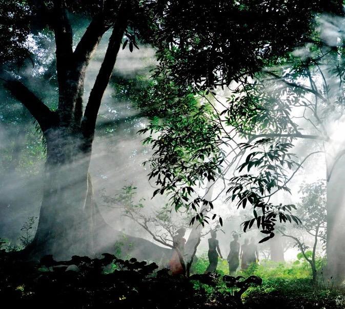 我刷了三分钟朋友圈,看到五个卖货的