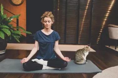 冥想呼吸观想,冥想时要专注于呼吸