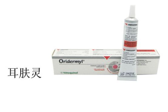 猫咪有耳螨怎么在家解决,猫咪有耳螨怎么快速治好