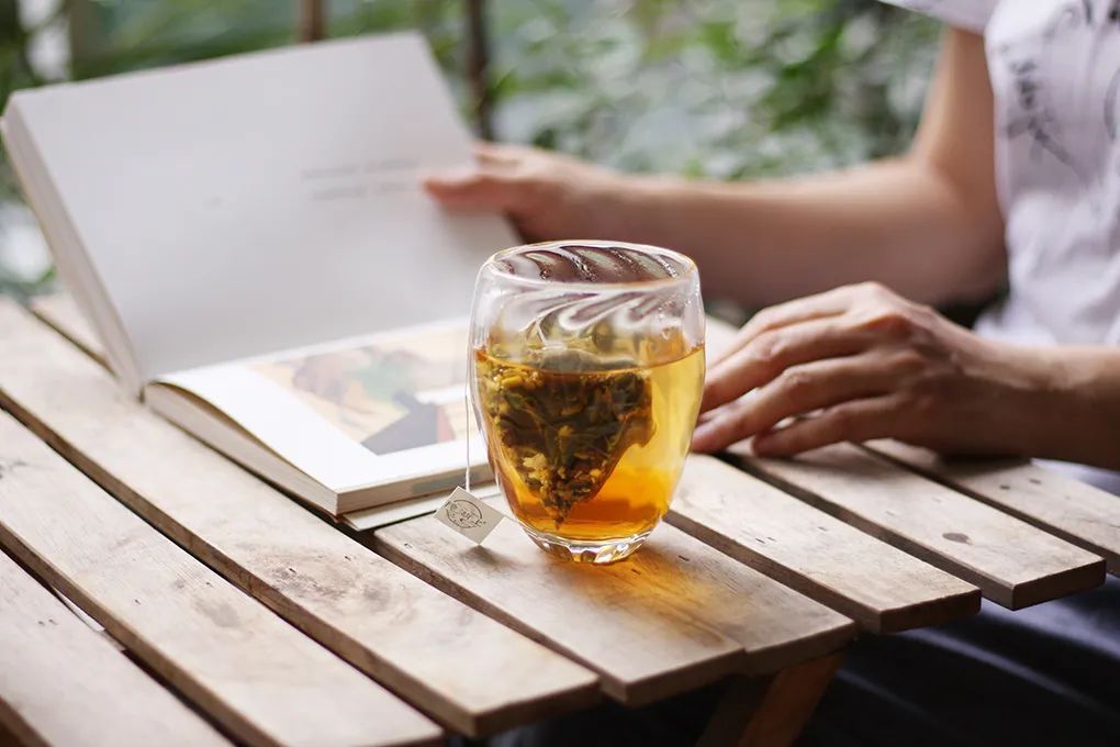 梅花香荷花,什么样的梅花香最好