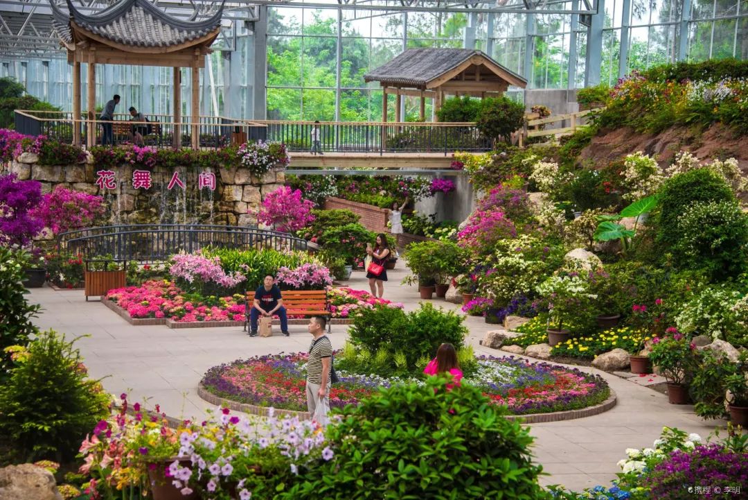 游玩半价票,雁荡山周末半价票