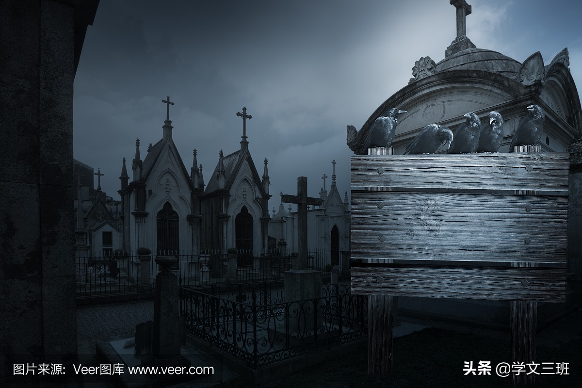 同样是鸟,为啥乌鸦能这么流氓?