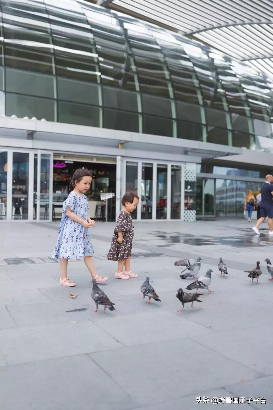 带孩子新加坡4天够玩吗,新加坡带孩子自由行几天