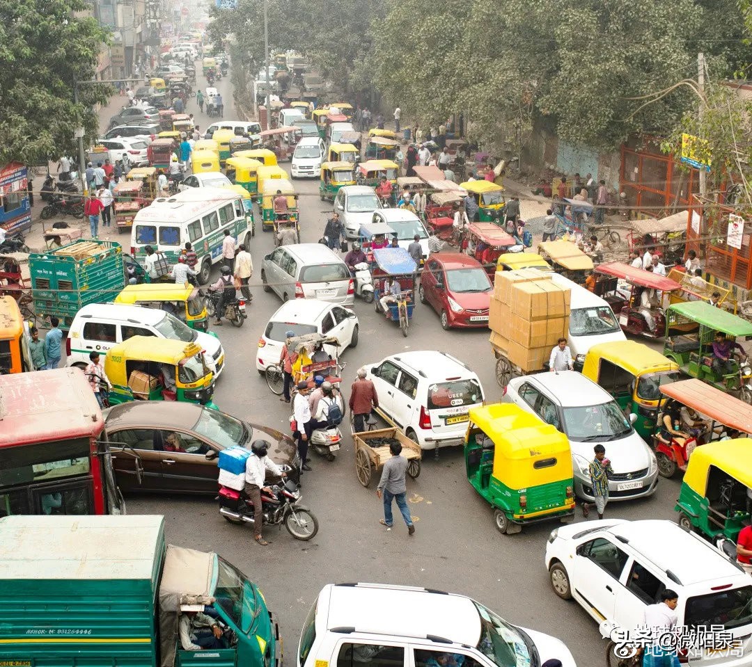 印度，“野生便利店”|地球知识局