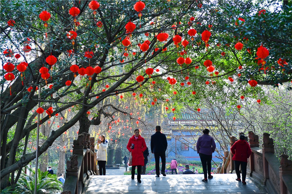 成都双流最新新闻,未来的双流会变成什么样子