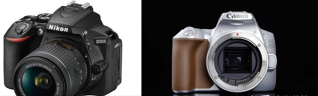 相机推荐新手入门及价位,最合适新手购买的相机