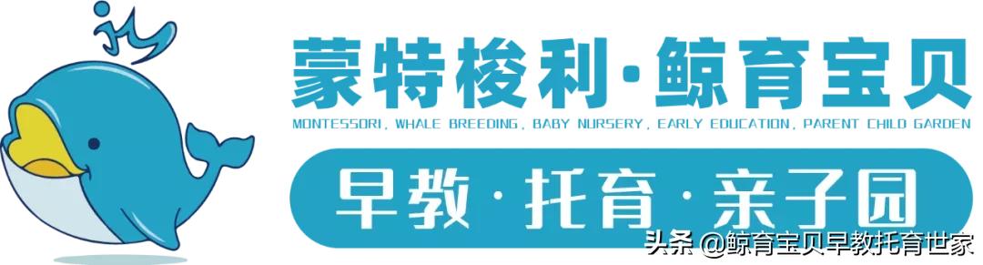 家庭中的蒙特梭利教育,蒙特梭利国际儿童之家价格