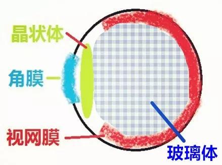 有哪些保护眼睛的小妙招100字,眼科医生推荐怎么保护眼睛