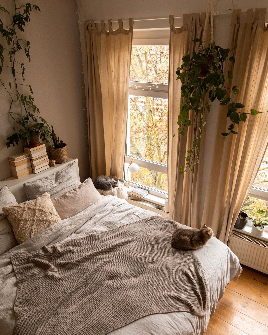 住森林里的体验,住在3200亩森林里是一种什么体验